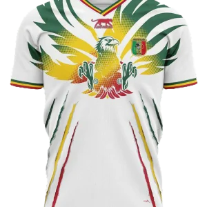 MAILLOT MALI DOMICILE 2024